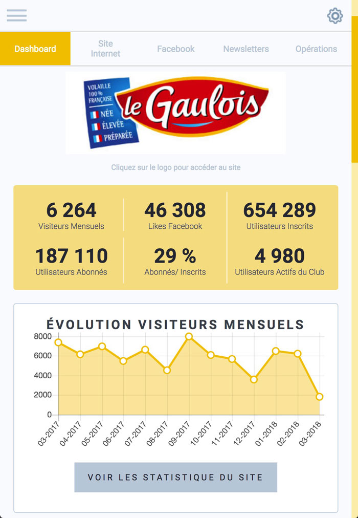 Dashboard of a brand with all datas on mobile website
